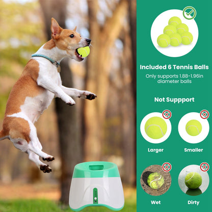 Automatic Dog Ball Launcher – Interactive Tennis Thrower for Small & Medium Dogs