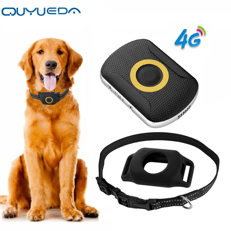Smart GPS Collar 4G – Real-Time Tracker for Dogs (water-resistant)