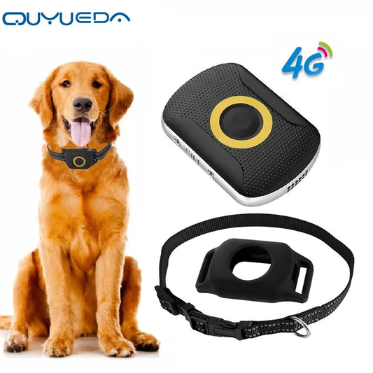 Smart GPS Collar 4G – Real-Time Tracker for Dogs (water-resistant)