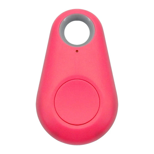 Pet Smart GPS Tracker