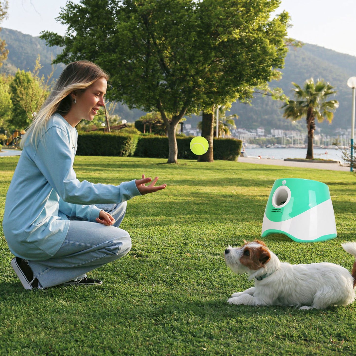 Automatic Dog Ball Launcher – Interactive Tennis Thrower for Small & Medium Dogs