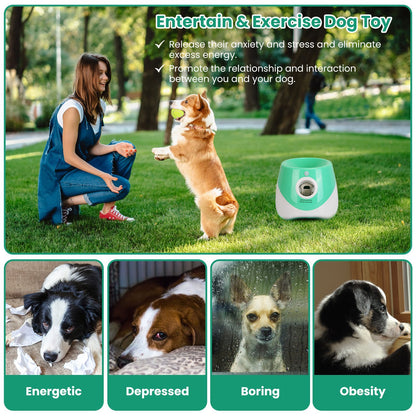 Automatic Dog Ball Launcher – Interactive Tennis Thrower for Small & Medium Dogs