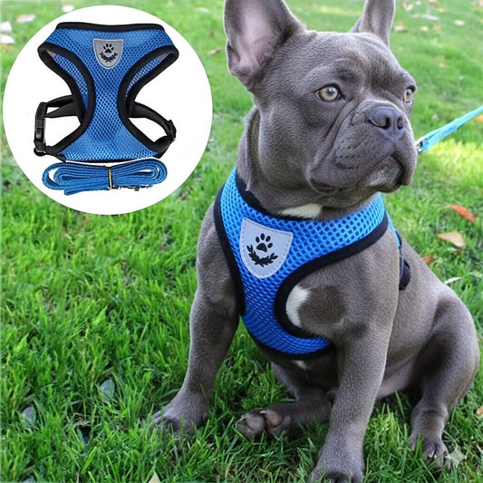 No-Pull Mesh Dog Harness + Leash Set