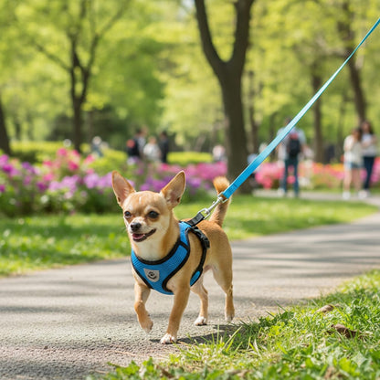No-Pull Dog Harness + Matching Leash Set for Small & Medium Small Breeds & Cats
