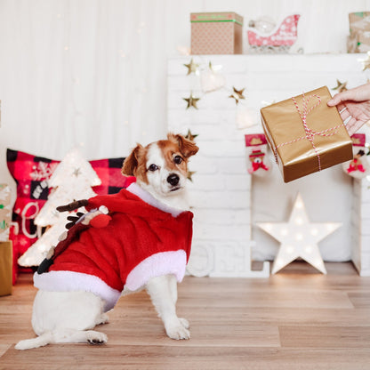 🎅 Santa Christmas Costume – Soft Flannel Pet Outfit